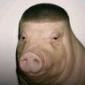 ethan profil fotoğrafı