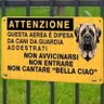 Simone Innocenti profil fotoğrafı