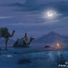 Фото профиля يزيد بن معاوية الأحمري