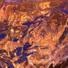 Фото профиля メタ・新知