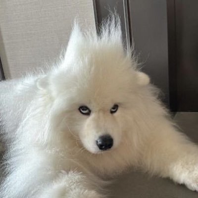 แตงโม แตงโม แตงโม's profile picture