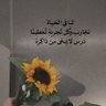 Nor profil fotoğrafı