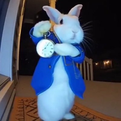 zakfromdahood's profile picture
