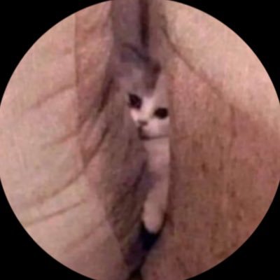 .'s profile picture