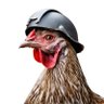 Profilbild von GeneralPeeps