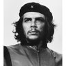 Sultan's profile picture