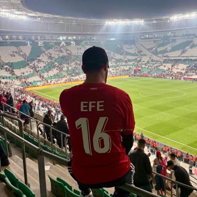 EFE's profile picture