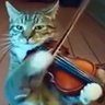 ємιℓισ profil fotoğrafı