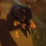 kassen's profile picture