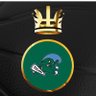 CFB insider 🌊's profile picture