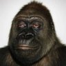 Daniel John's profile picture