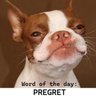 Profilbild von RedLefty