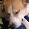 B profil fotoğrafı