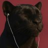 crito's profile picture