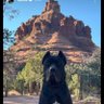 Sedona king's profile picture