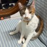 光仔 profil fotoğrafı