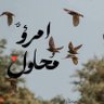 Фото профиля علياء عبد الرءوف