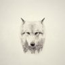Фото профиля Dog Mad