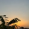 Фото профиля ًنوًffاا