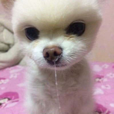 kyomeld's profile picture