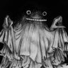 TheGardenBird 的头像