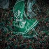 محمد كشميري's profile picture