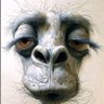 Khalid Mehmood's profile picture