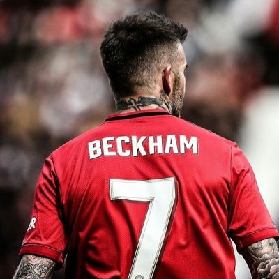 FilipeCruz017's profile picture