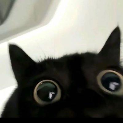 bingleng1s's profile picture