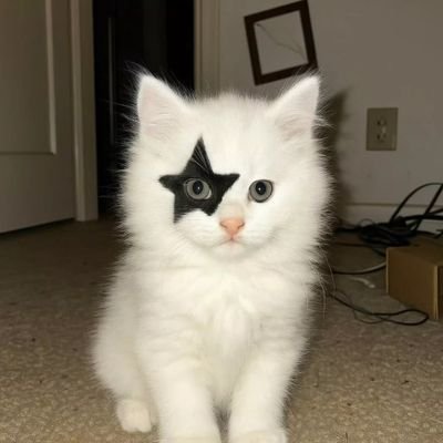yu70782's profile picture