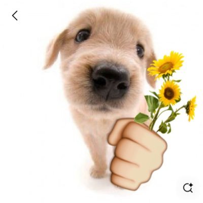 miso♡'s profile picture