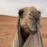 Profilbild von ي الله انك تسعدها