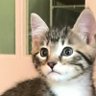 Dracarys21's profile picture