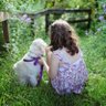 Life is Beautiful's profile picture