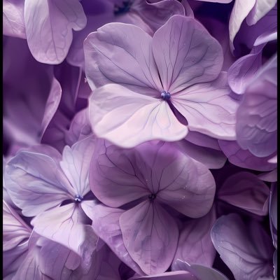 Mafungwase's profile picture