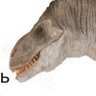 Sunoumanu's profile picture