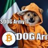 PeppoMora 🧡 $DOG ARMY 🇮🇹's profile picture