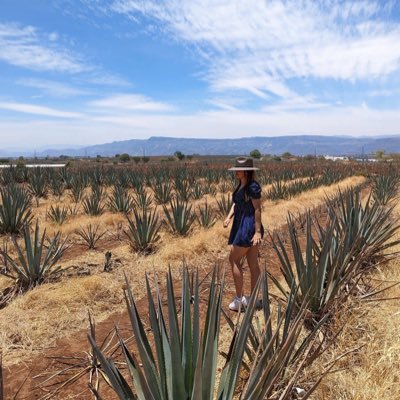 Funada's profile picture