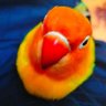 John's profile picture