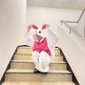 とも's profile picture