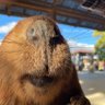 むーむーむー🍠's profile picture