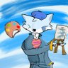ice fox(艾思)'s profile picture