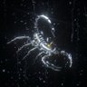 Фото профиля Mrtyldrmramo