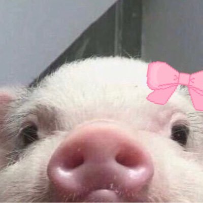 sunoo_zzang's profile picture