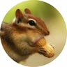 みか's profile picture