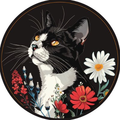 Kitka's profile picture