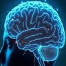 Фото профиля AMAZING FACT