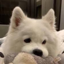 nmwnwy's profile picture