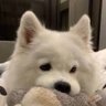 𝐍𝐦♡'s profile picture