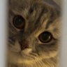 Profilbild von june